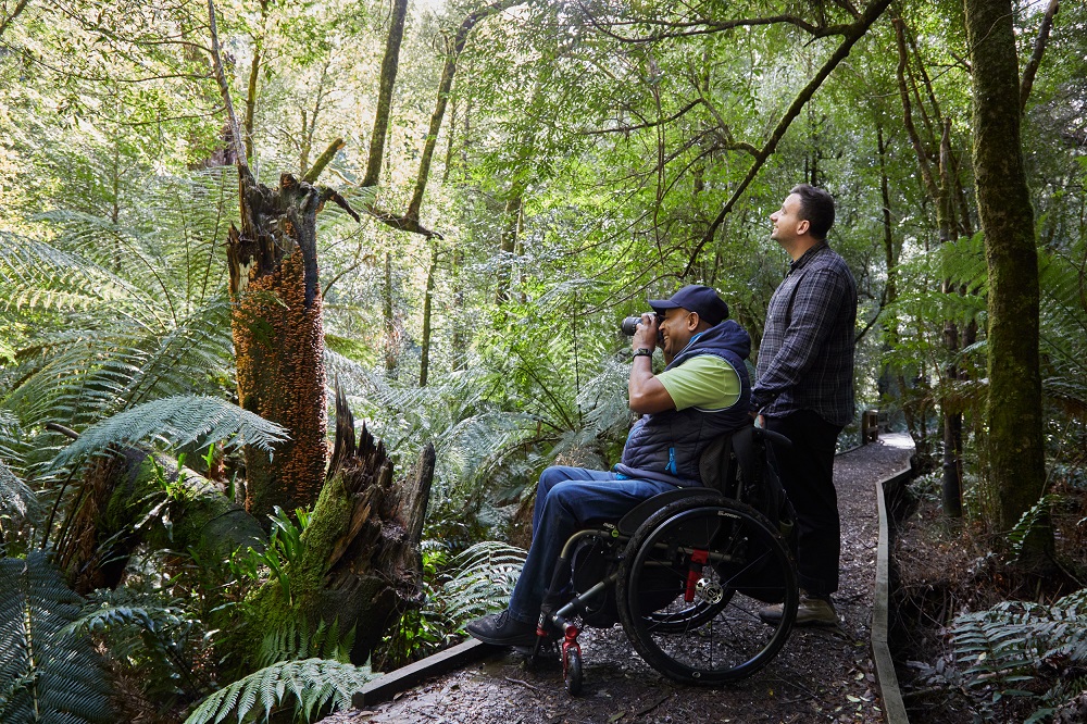 A man is holding up a pair of binoculars and enjoys some birdwatching in the forest.  