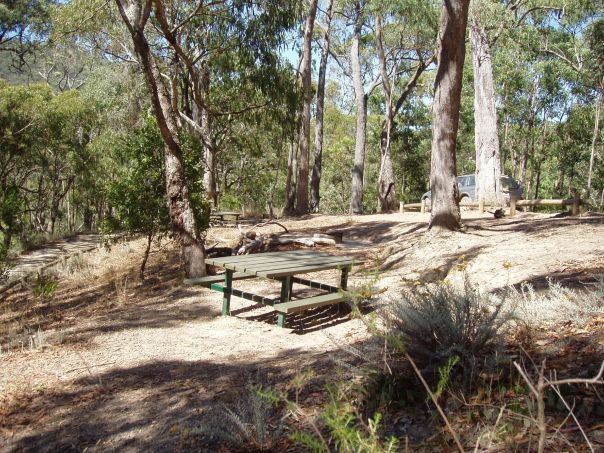 A picnic table in a dirt clearing surrounded by trees