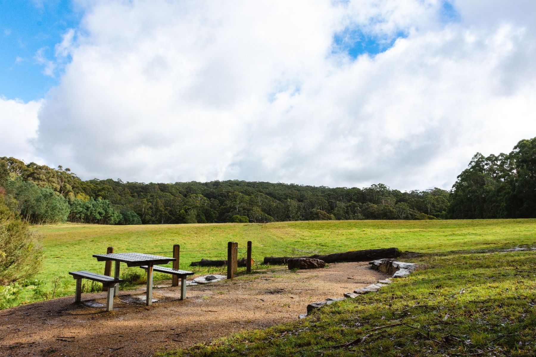 A view of the spacious and grassy picnic area and a bench