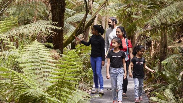 A picture of a family of five walking a long a boardwalk by some ferns