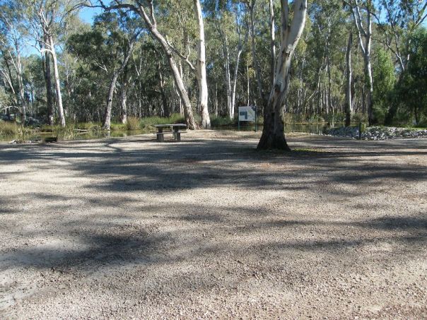 A wide open space with a wooden picnic table in the centre. Large gum trees are in the background and gravel is in the foreground.