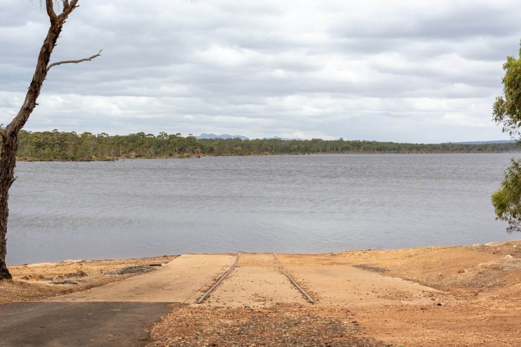 A dirt boat ramp leads into a large grey river. A bare tree stands to the left of the ramp. 