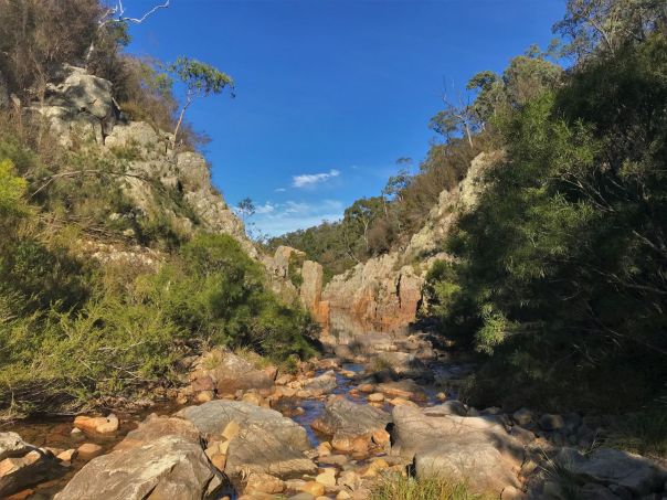 Rocky terrain and large stepping stones crossing the creek.