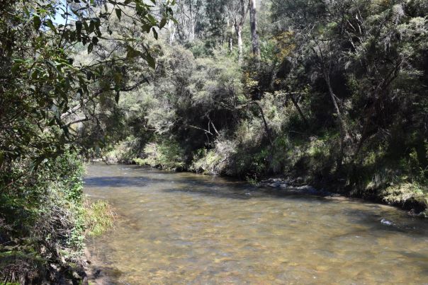 Water in a shallow river that is glistening under the sun.