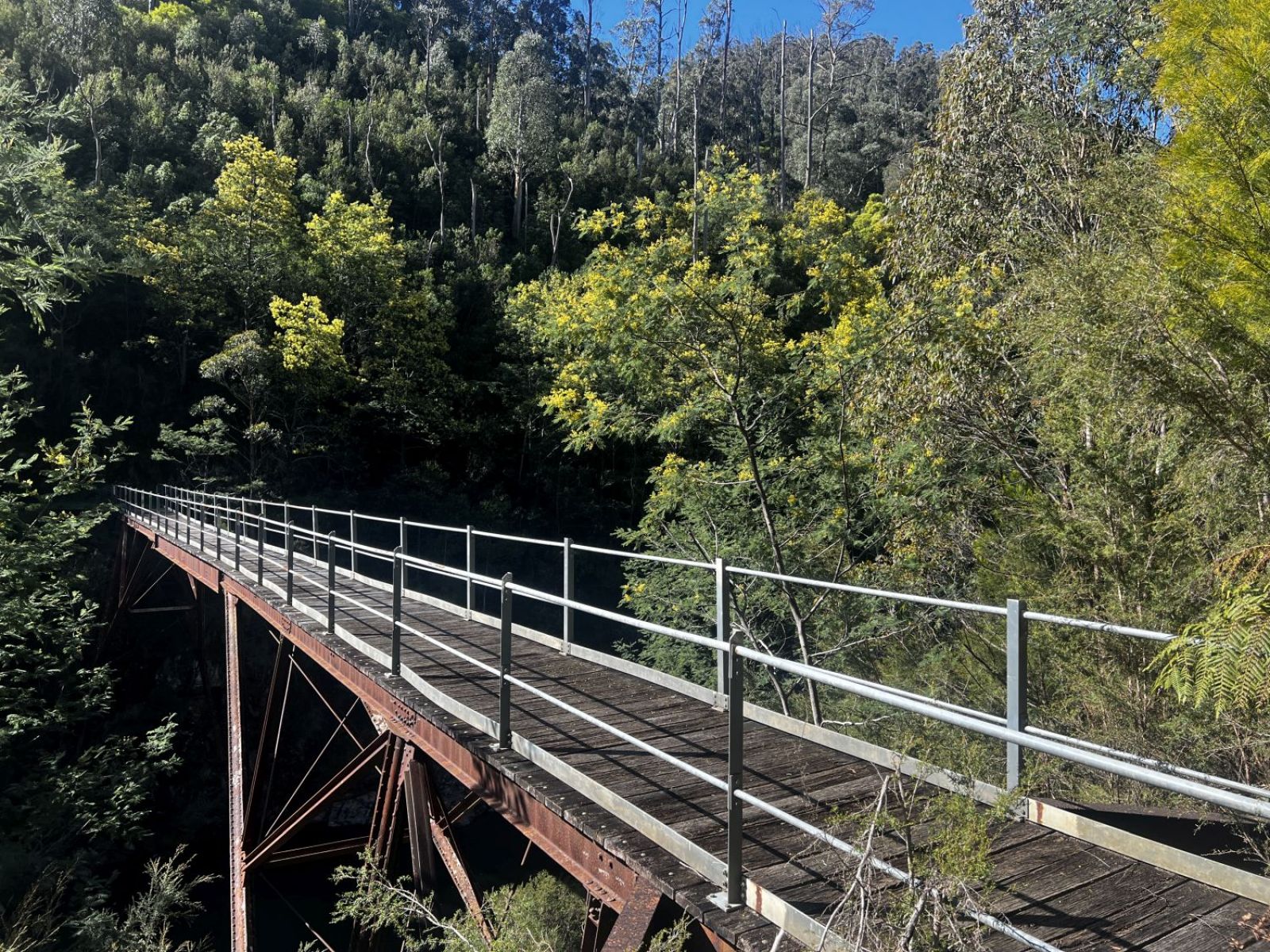 A tall wooden pedestrian bridge among thick forest