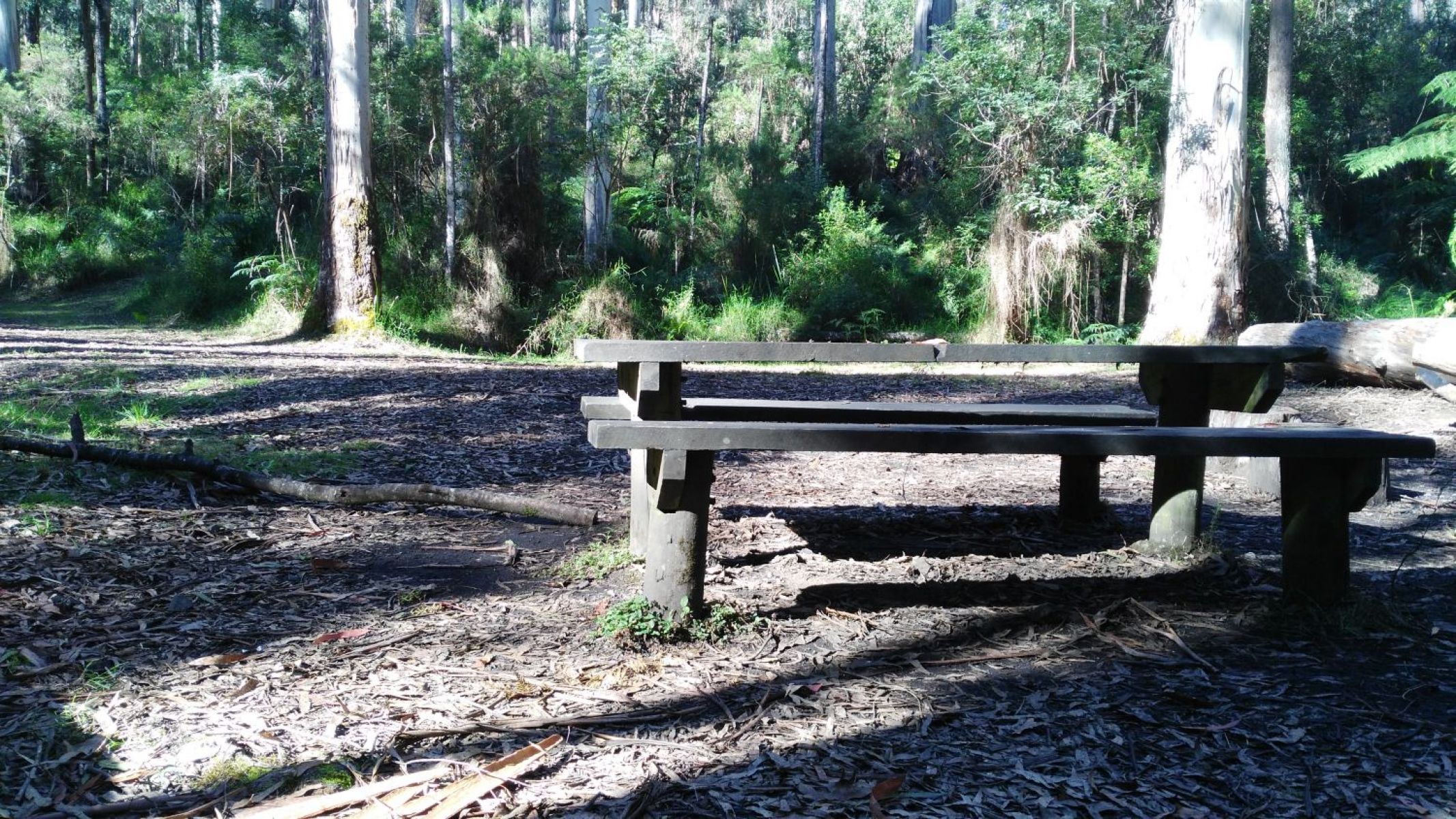 A wooden picnic table in a shaded bush camping area