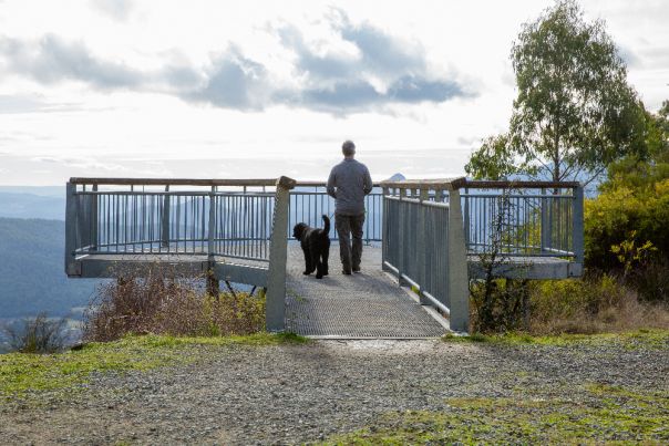 A man and his dog on a metal lookout overlooking mountains