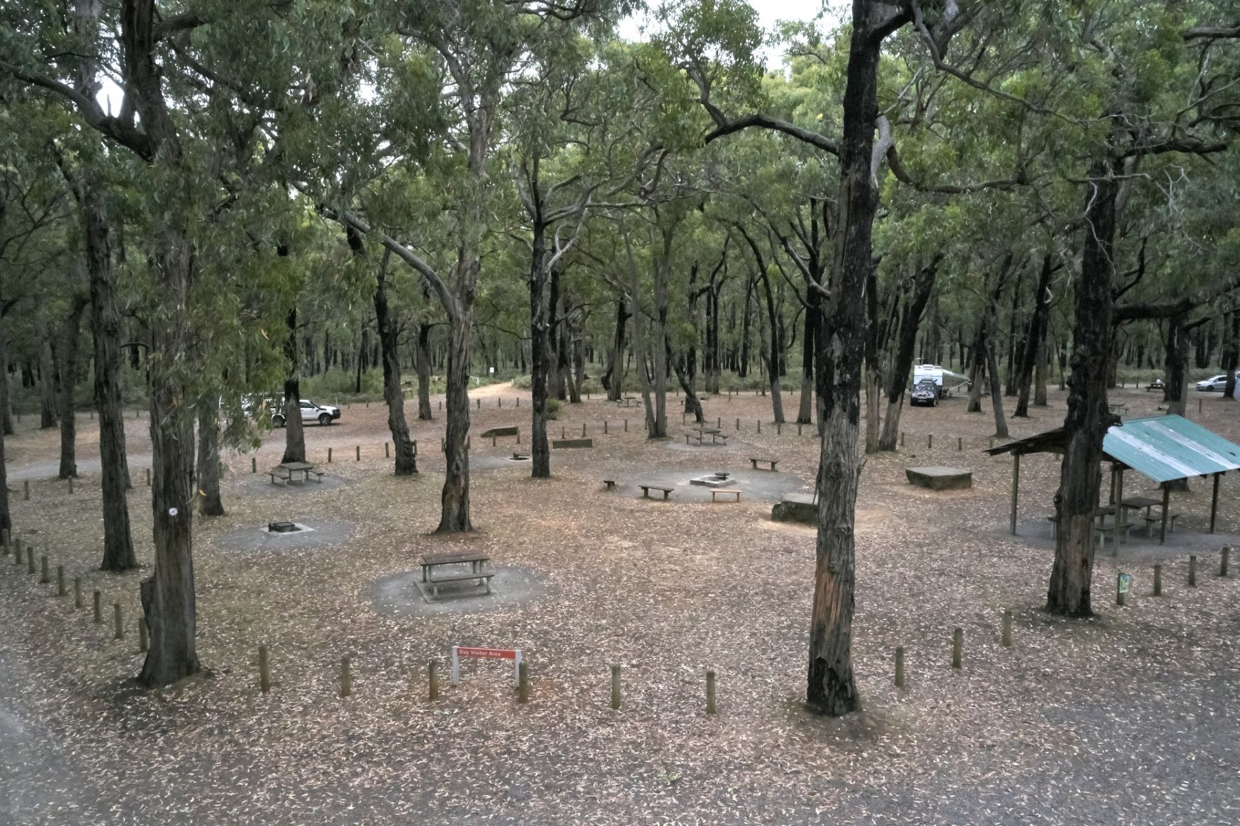 A campground surrounded by tall trees, wooden bollards, picnic tables and a shelter.