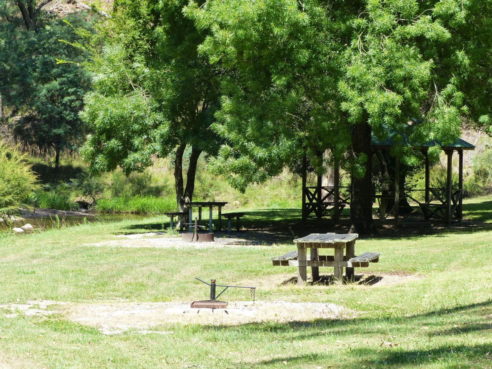 A grassy area with picnic tables and trees