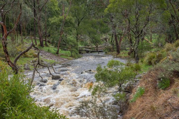 A image of the Werribee River from the picnic site