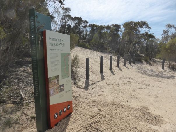 An information board about local wildlife