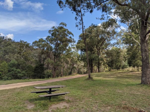 A picnic table in the foreground with trees surrounding a grassy open field