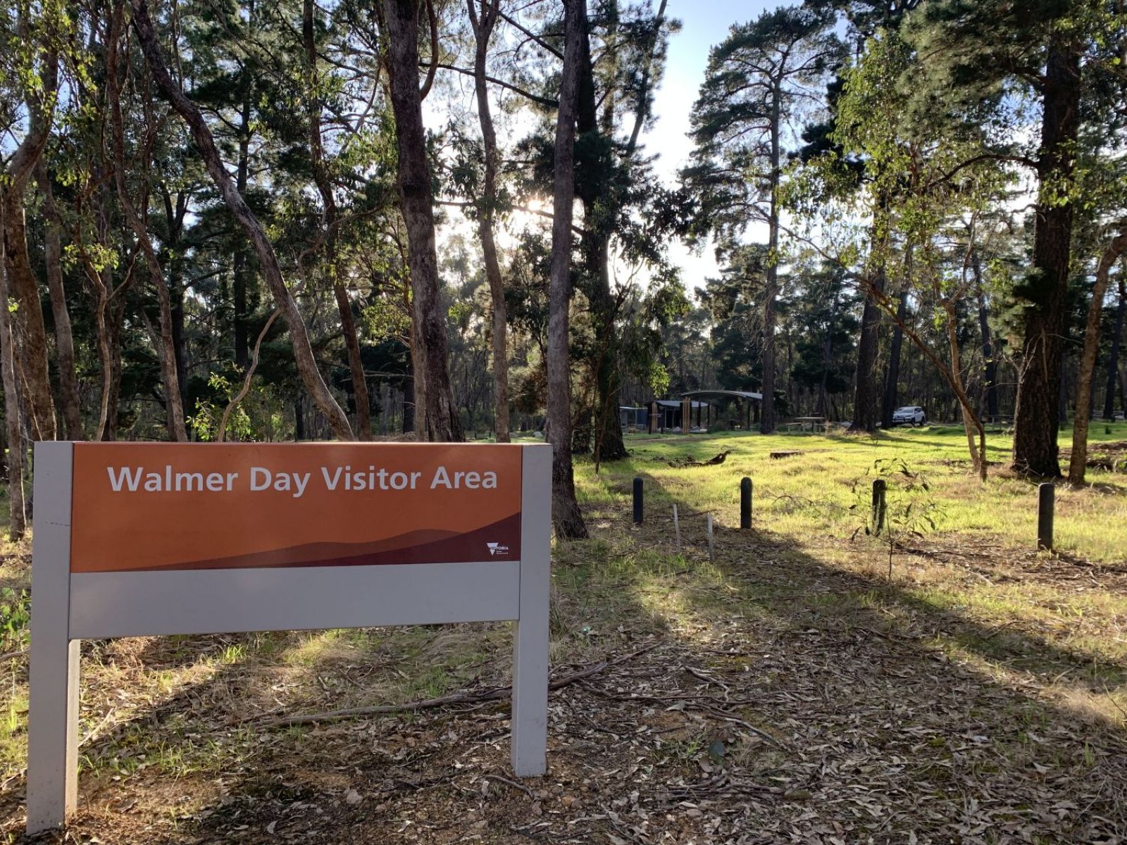 An orange sign reads Walmer Day Visitor Area in the foreground. Tall pine trees and green grass sit behind the sign and sunlight shines through the trees.