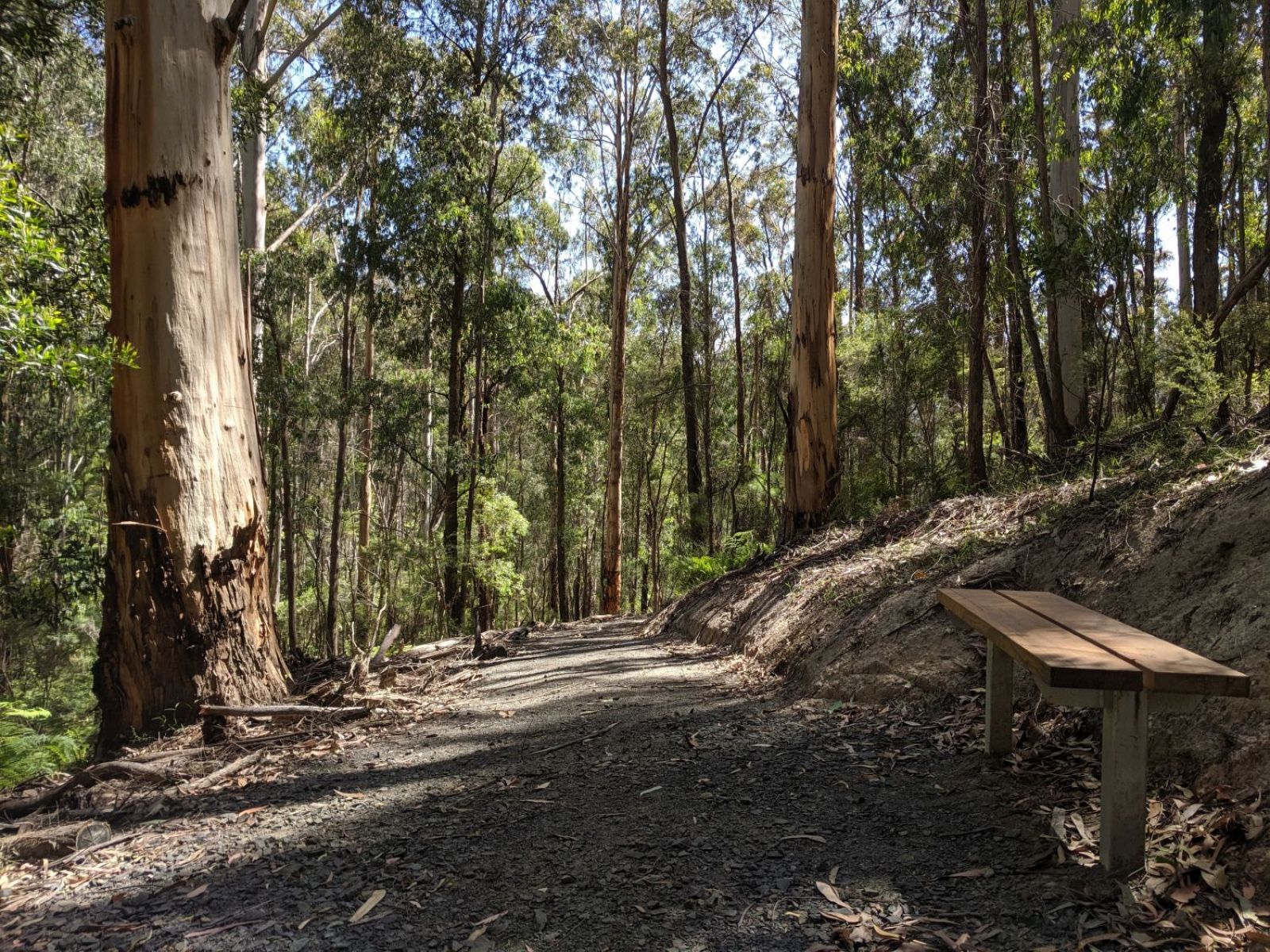 A single bench seat located along a gravel walking track