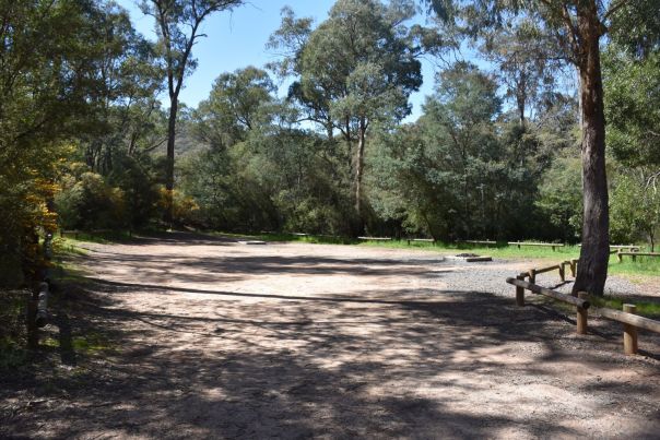 An open campground surrounded by bush. Wooden bollards separate a dirt road from the grass.