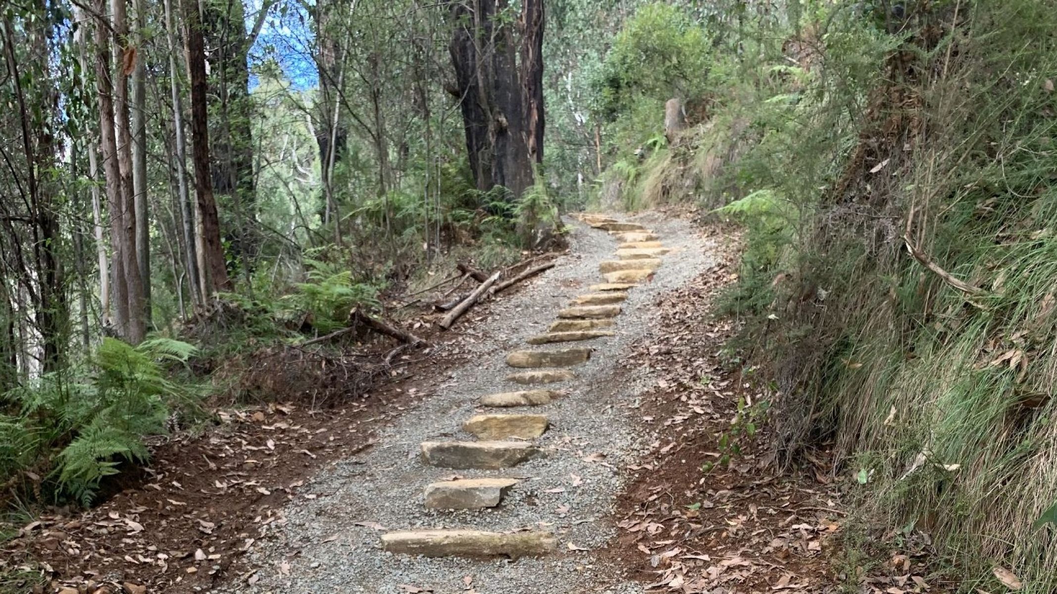 Trail leading up to the lookout which has recently been upgraded