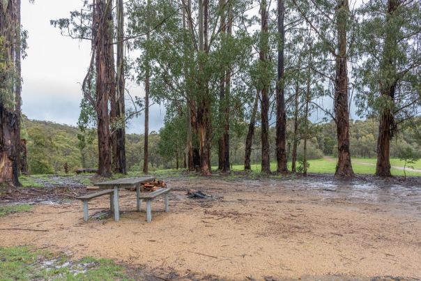 An image of the picnic area where you can hear birdlife 