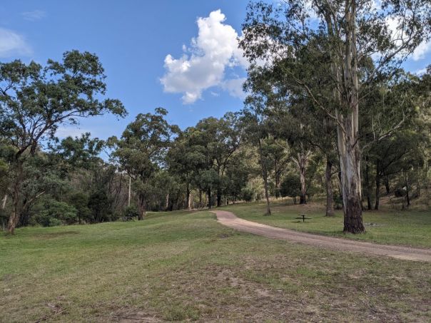 An open grassy camp area with trees lining the edges and a dirt road running through the middle.