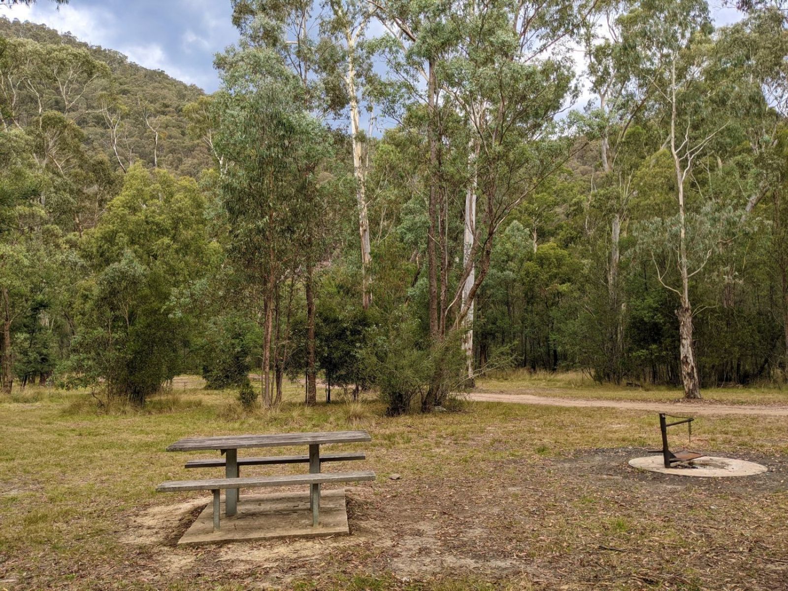 A picnic table and fire pit surrounded by bushland.