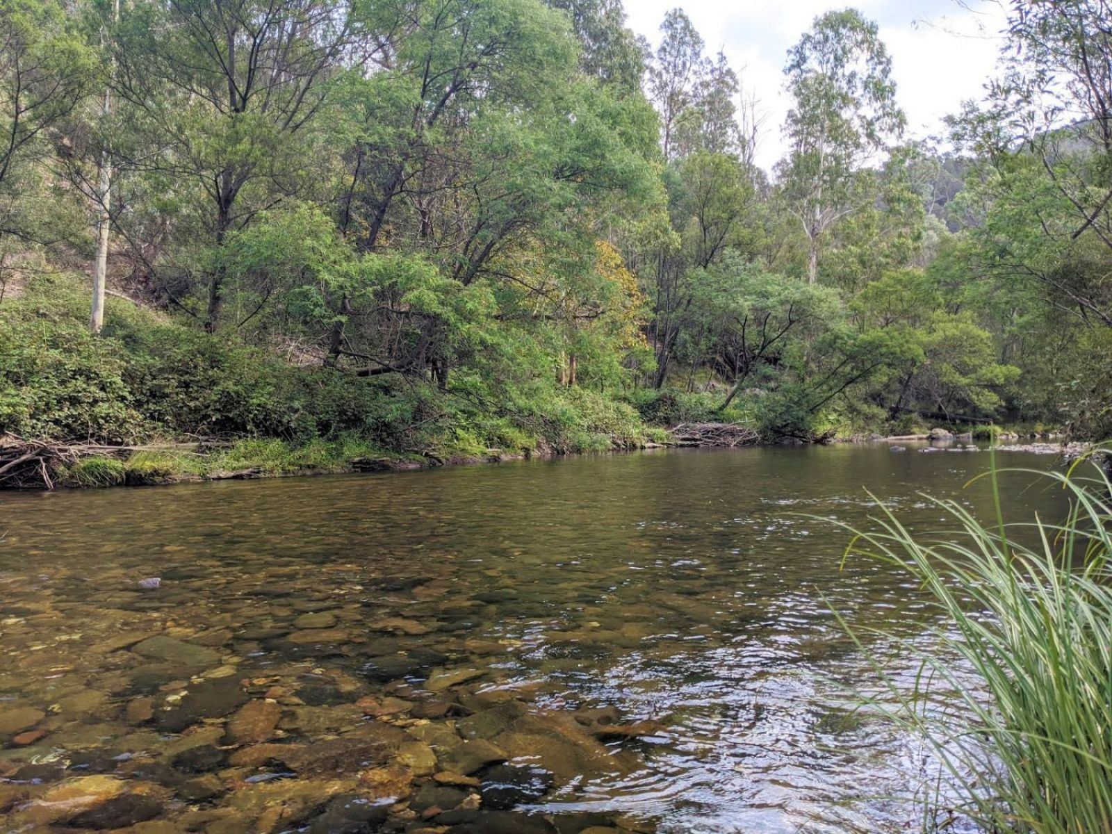 A shallow river with rocks and pebbles under the water surface.