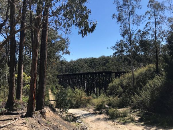 A view across to a tall trestle bridge from a nearby rail trail through the bush