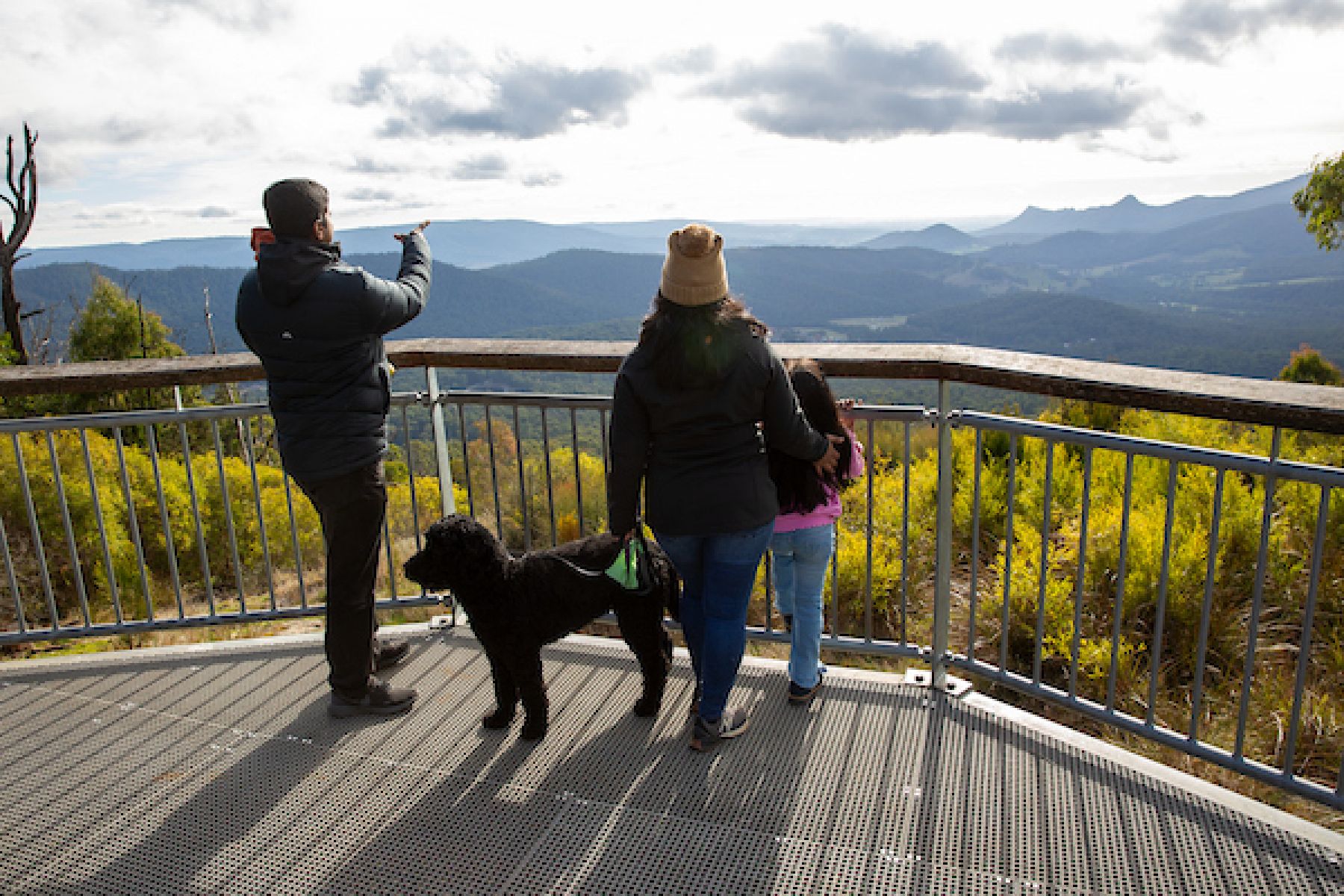 A family overlooking mountains on a metal platform