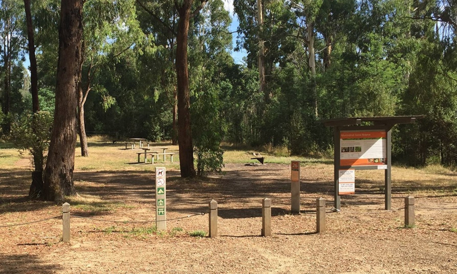 Grass camping site with trees, bollards, information signs and picnic tables.  