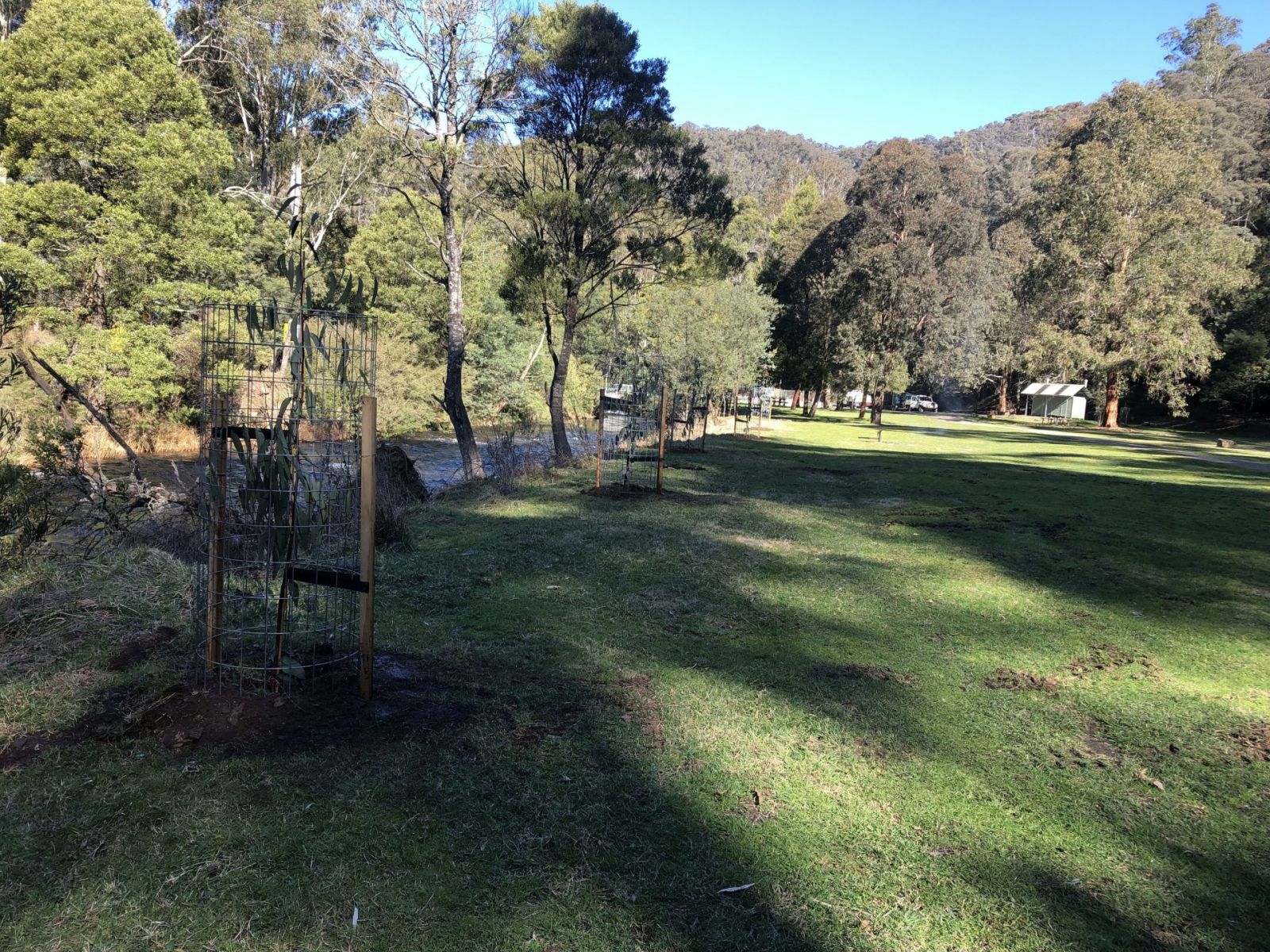 A grassy campground on the banks of Snowy Creek