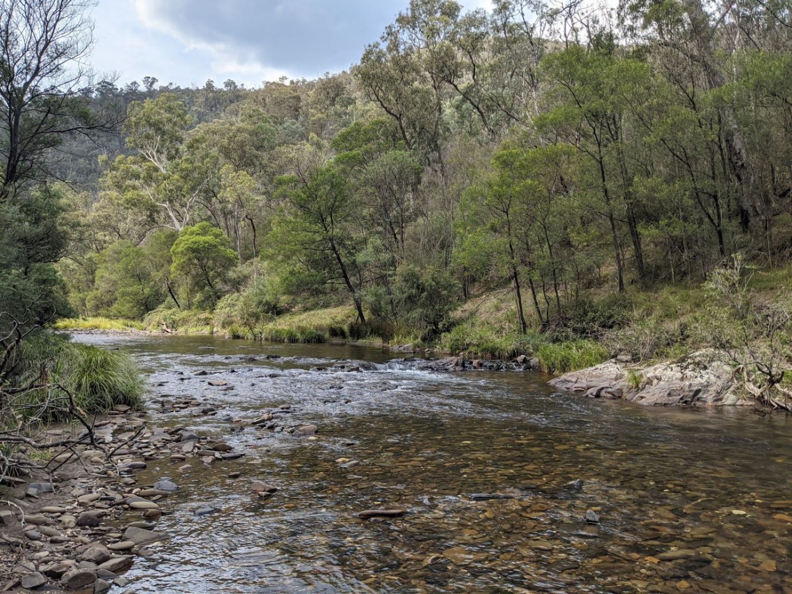 A shallow river with rocks and pebbles scattered throughout