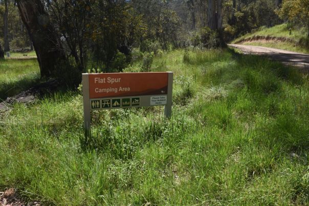 An orange wooden sign reads Flat Spur Camping Area. It is surrounded by tall green grass with a dirt pathway in the background.