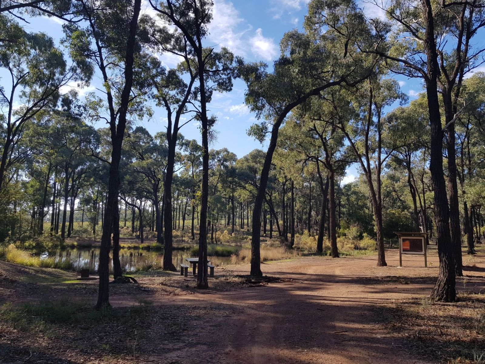 Ironbark trees provide shade over a picnic table next to a small body of water.