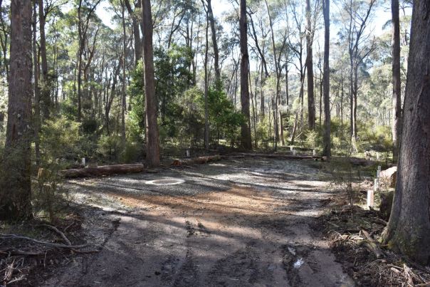 A flat dirt clearing provides space for a tent to be set up under shady trees.