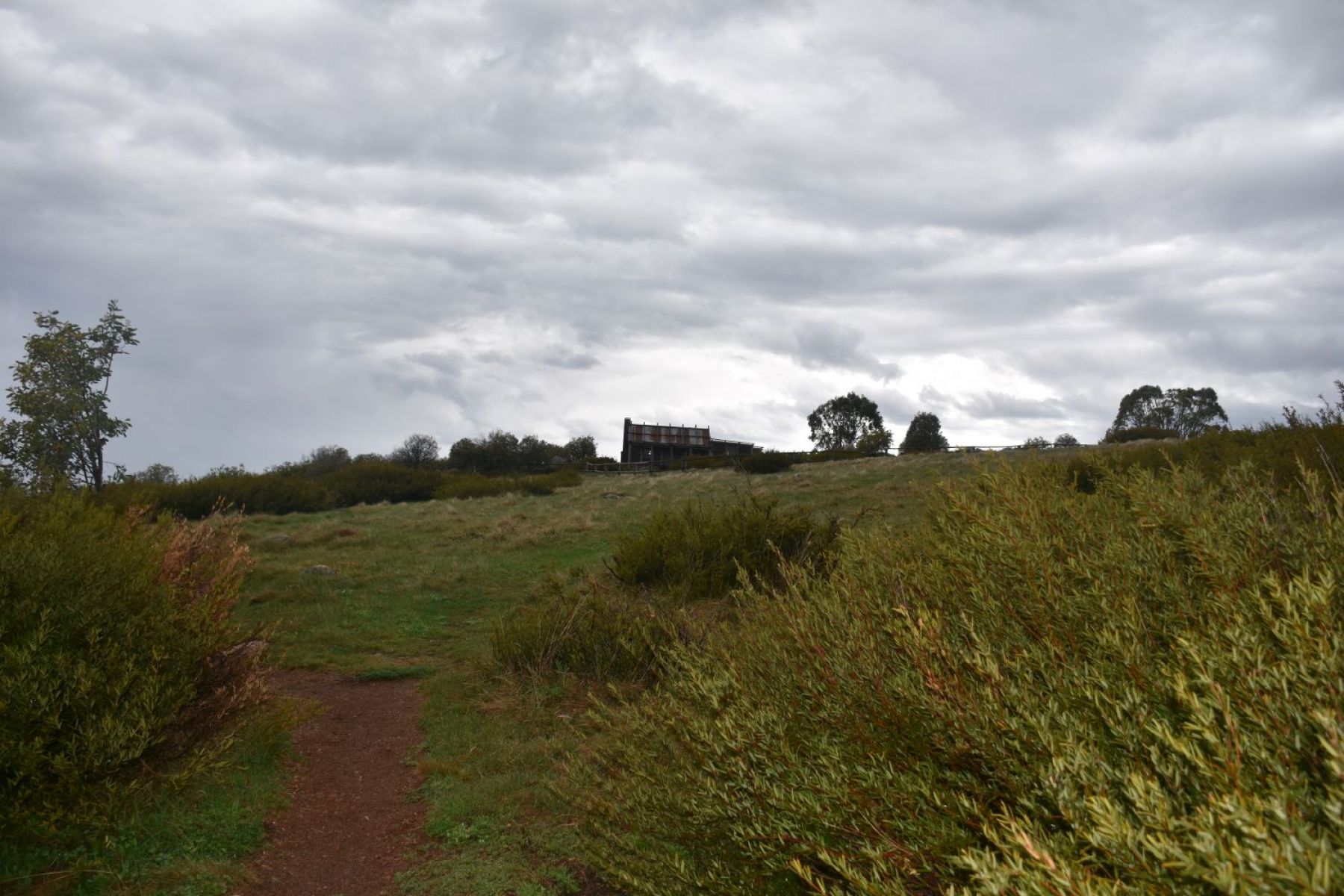 A walking path leading up to a building on a cloudy day