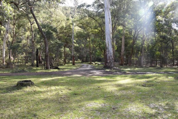 A grassy camping area with the sun shining through a canopy of trees.