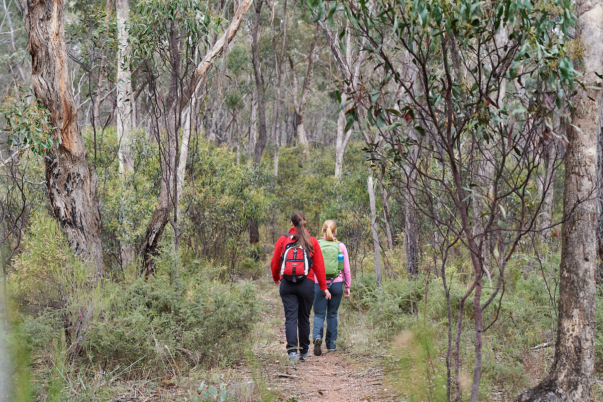 Two women walk along a track through bushland  