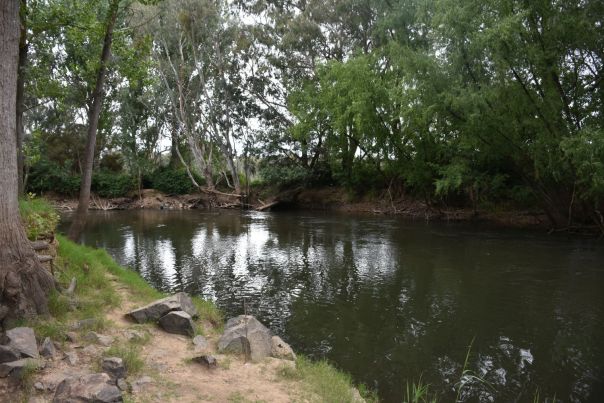 A shady and secluded section of the Ovens RIver