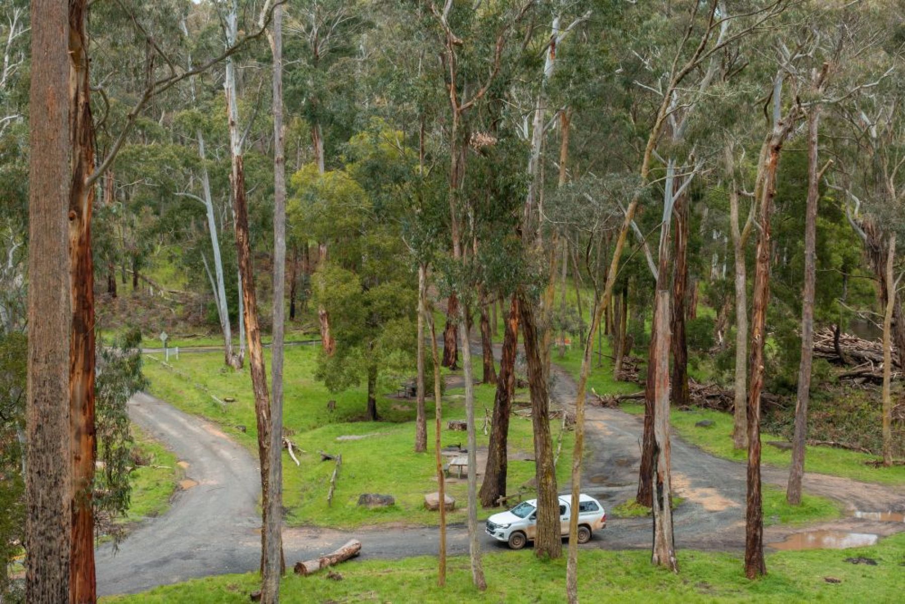 A scenic bush picnic area with two wooden picnic tables surrounded by tall gums and a river nearby