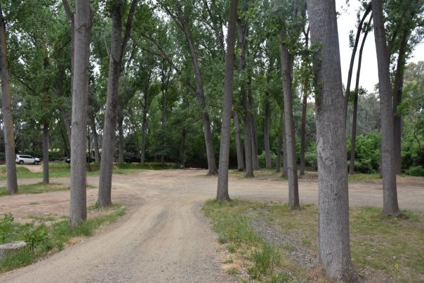 A gravel road which leads to a shady camping area