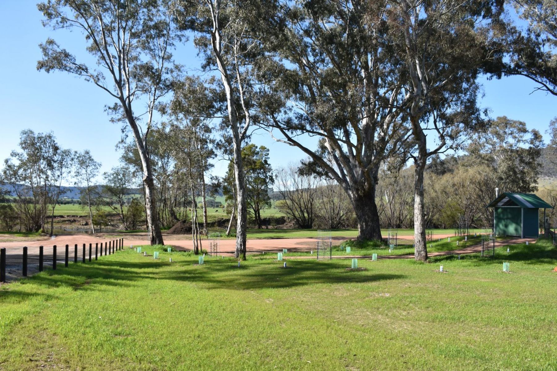 An open grassy camp area with scattered trees throughout and a road in the background.